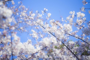 新生活の家具はどこで買う？おすすめの新生活応援キャンペーン2018まとめ
